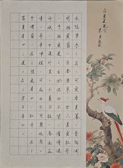 图示, 示意图

中度可信度描述已自动生成:ver1