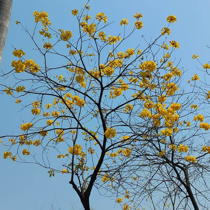 2025-05-10 15:56:33.598000