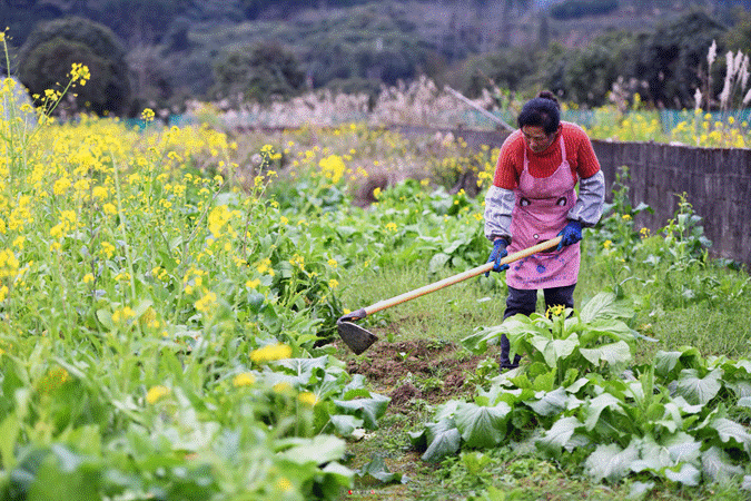 图示, 示意图
中度可信度描述已自动生成:ver1